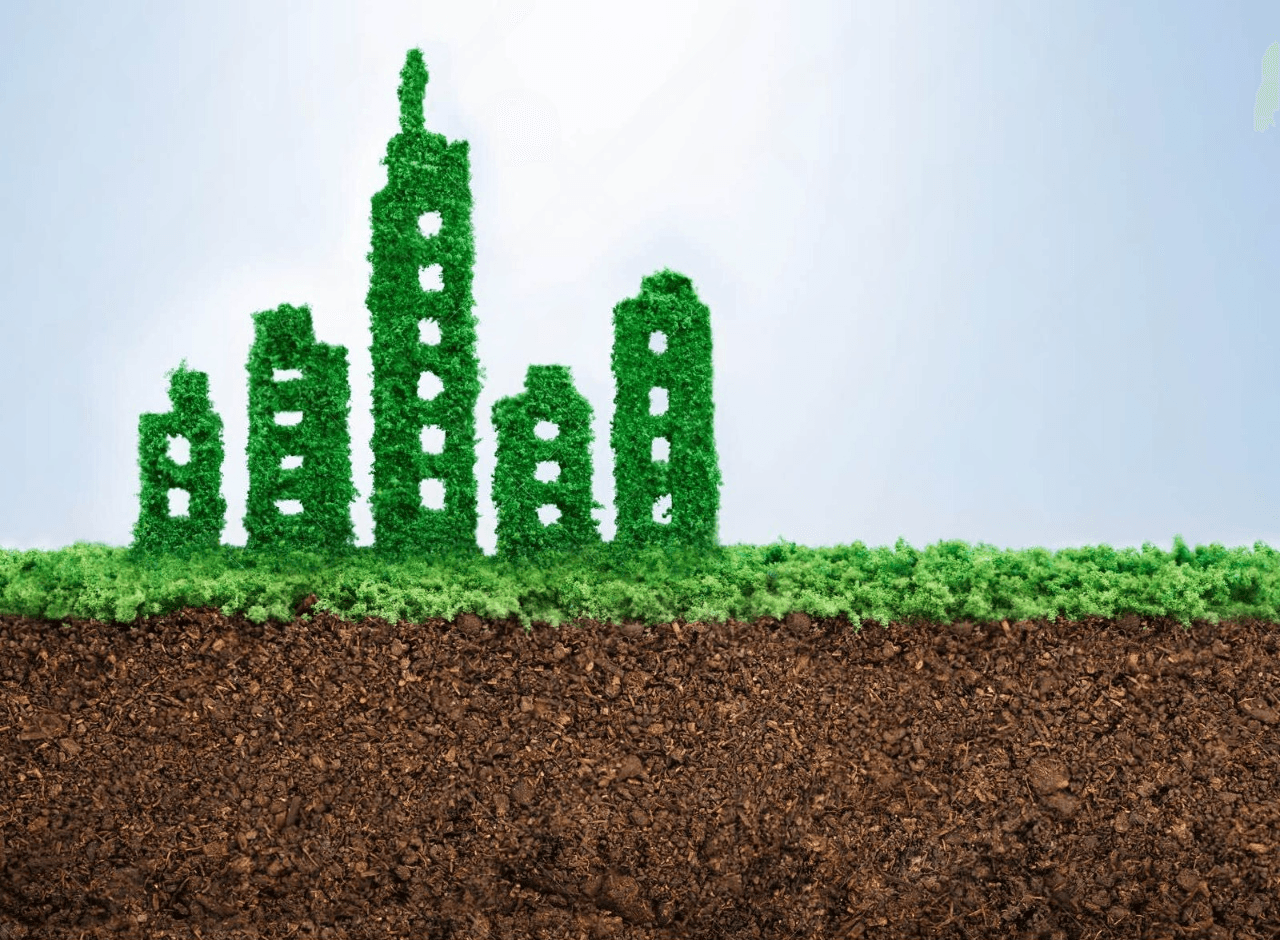 ESG Investment Strategies: FynWise's Approach to Sustainable Investing